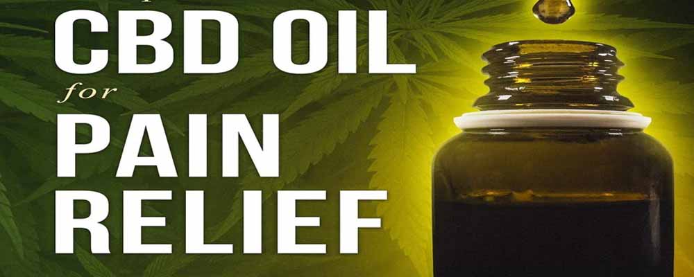 Explanation of how CBD oil can help with pain relief
