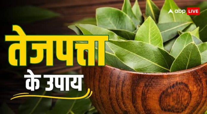 Bay leaf remedy to get money and prosperity, fulfill all